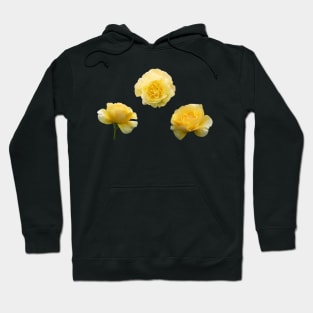 Yellow Aesthetic Garden Roses Sticker Pack Hoodie